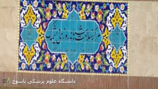 نجات جان بیمار تصادفی توسط پزشک مرکز خدمات جامع سلامت دیشموک