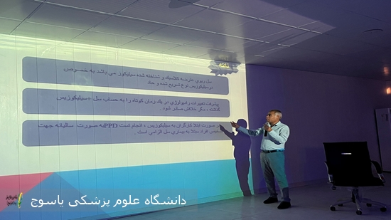 کارگاه آموزشی برنامه کاهش سیلیکوزیس در دهدشت برگزار شد