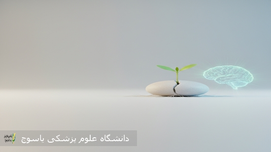 سلامت-روان-زیربنای-رفاه-و-توسعه-خانواده-